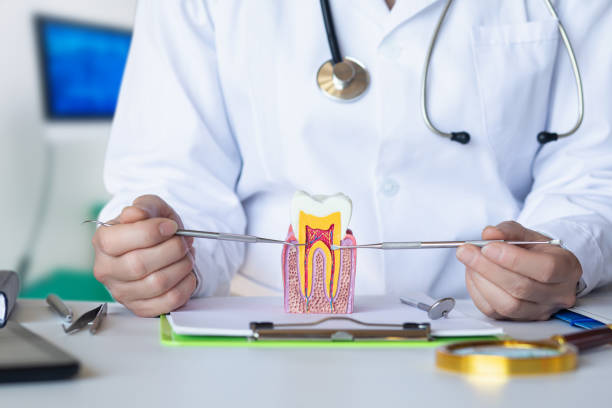 Best Tooth Infection Emergency Dentist  in Menlo Park Terrace, NJ